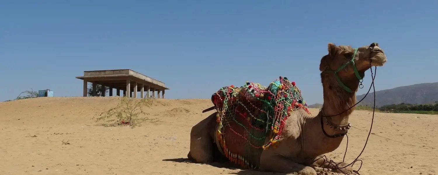 Classical Rajasthan-1